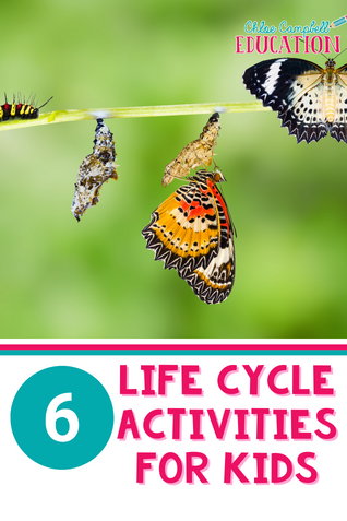 6 Engaging and Interactive Life Cycle Activities For Kids